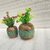 ( G7901 ) Wooden Flower Pot Stand Wooden Vase (6 Inch, Green, Brown)