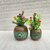 ( K7901 ) Wooden Flower Pot Stand Wooden Vase (6 Inch, Green, Brown)