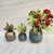 ( D7902 ) Wooden Flower Pot Stand Wooden Vase (6 Inch, Blue, Brown)