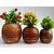 Wooden Flower Pot Gola Brown Color Wooden Vase (6 Inch, Brown)