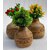 Wooden Corner Table Decor Wooden Vase (6 Inch, Brown)