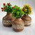 Wooden Corner Table Decor Wooden Vase (6 Inch, White, Brown)