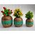 Onlinecraft Wooden Corner Table Decor Wooden Vase (6 Inch, Green)