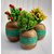 Onlinecraft Wooden Corner Table Decor Wooden Vase (6 Inch, Green)