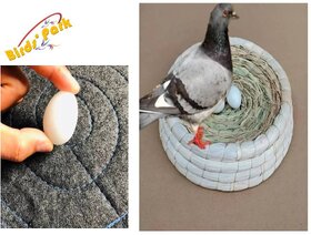 Birds' Park -Pigeon Dummy Eggs During breeding time