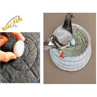                       Birds' Park -Pigeon Dummy Eggs During breeding time                                              