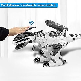 RC Dinosaur Robot, Infrared Remote Control Dinosaur, Intelligent Programmable Robot Toy with Music and Dance for Kids