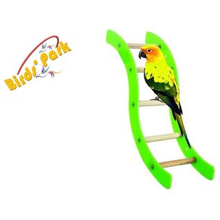                       Birds Toys Curve Acrylic Ladder - Good for Fun  Play for Grey Parrot Conure Cockatiel Love Birds budgerigars  Finches                                              