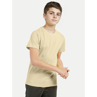                       Boys Lemon Crew neck T-shirt                                              
