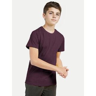                       Boys Wine Crew neck T-shirt                                              