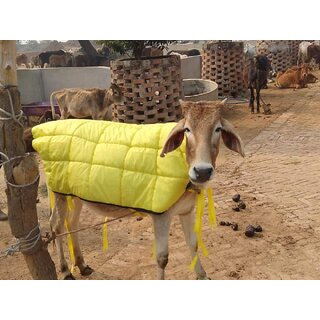                       Cow winter Coat - Calf (Calves) winter coat - Good for winter and cold weather - washable and waterproof..PLS CHECK SIZE                                              