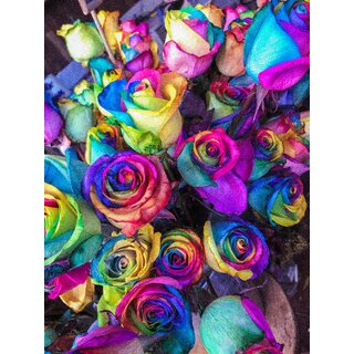 Rainbow Rose Seeds