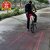M10339 Genric Factorydirectpro 5 Led Tail Light With Twin Laser Road Safety Lights For Bikes