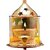 Royal Overseas Diya with Glass Cover for Puja, Glass Lamp for Diya, Covered Diya for Home Decoration (Height 5.50 inch)