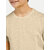 Boys Beige Crew neck T-shirt