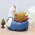 Homeberry Animal Resin Creative Hen Shape Succulent Planter Pot/Flower Garden Decor,Office Decorative Showpiece  -  12 cm (Resin, Multicolor)