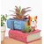 Homeberry Double Book with Corgi Dog Resin Flower Pot Succulent Home Decor Cute Planters Decorative Showpiece  -  9 cm (Resin, Multicolor)