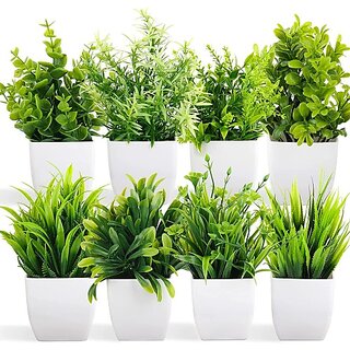                       Dekorly Artificial Potted Plants Artificial Plastic Eucalyptus (Pack Of 8, Green) Bonsai Wild Artificial Plant With Pot(7 Cm, Green)                                              