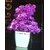 Ds Artificial Pink, Purple, Red, Orange Color Small Flower Pot (Pack Of 4) Multicolor Lavender Artificial Flower With Pot(6 Inch, Pack Of 4, Flower With Basket)