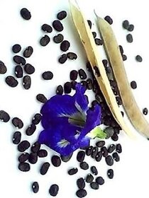 Nirmal Aprajita, Blue, Butterfly flower, Flower Seed (5 per packet)