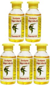 Eucalyptus Nilgiri Hills Oil - 100ml (Pack Of 5)