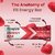 Fitspire Fit Energy Bar 35g with Redberry flavour, 100 Vegan, Made with Natural Ingredients, Helping for Instant Energy, Boosts Athletic Performance  Improves Muscle Recovery-Pack of 1