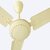 Eskon Delta Ivory High Speed Ceiling Fan 1200 Mm Energy Saving 3 Blade Ceiling Fan (Ivory, Pack Of 1)