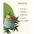 Sobek naturals Nature's Nectar(green tea  neem) face and body scrub  Exfoliate, acne and tan