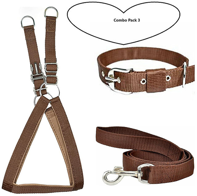 Collar leash outlet combo