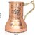 Royalstuffs Lily Pot Copper Water Jug Inbuilt Glass Antique Elegant Design |1000 Ml |