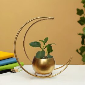 Flower Vase