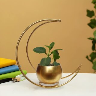 Flower Vase Flower Vase