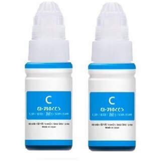                       Realink GI-790 Ink Compatible For G1010 G2000 G2002 G2010 G2012 Pack of 2 Cyan Ink Bottle ()                                              