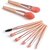 8 PCS Mini Makeup Brush Set with Case Premium Synthetic Bristles Cosmetic Brush Set