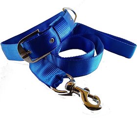 The Unique Heavy Nylon Dog Collar Leash Set for Biggest dog Dog Collar & Leash (Extra Large, BLUE)