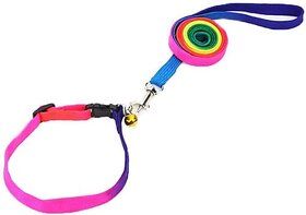 The Unique Rainbow Leash Set-12mm Dog & Cat Collar & Leash (Small, Multicolor)