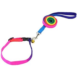                       The Unique Rainbow Leash Set-12mm Dog & Cat Collar & Leash (Small, Multicolor)                                              