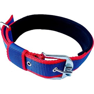                       The Unique Dog Everyday Collar (Extra Large, BLUE, RED)                                              