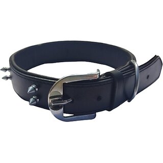                       The Unique Dog Everyday Collar (Large, Multicolor)                                              