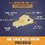 Fitspire Protein Bar (Pack Of 6 Combo) - Blueberry  Choco Fudge Flavor, 360 Gm  20.5 Gm Protein Each  No Artificial Sweetener  Flavour  Energy Snack Bar  Each Flavor - 60 Gm