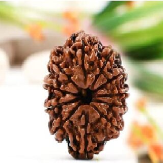                       Natural 11 mukhi rudraksha shiv beads with lab certificate Wood  With Golden Chain For Men  Women                                              