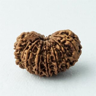 16 face rudraksha original Beads Lab Certified With Yellow Sapphire Mala For Men Women 16 face rudraksha original Beads Lab Certified With Yellow Sapphire Mala For Men Women