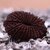 21 mukhi rudraksha original with certified / 21 face rudraksha original With Rudraksha Mala with Golden Cap Men  Women