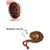 21 mukhi rudraksha original with certified / 21 face rudraksha original With Rudraksha Mala with Golden Cap Men  Women