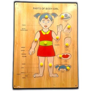                       Aasiyaenterprises Body Parts Of Girl Wooden Picture Puzzle Board For Kids Learning Toy (Multicolor)                                              