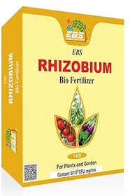 EBS Rhizobium Bio fertilizer powder for all crops and plants (3kg (Pack of 3))