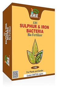 EBS Sulphur and iron Bio fertilizer for all crops and plants (3kg (Pack of 3))