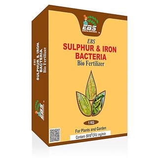 EBS Sulphur and iron Bio fertilizer for all crops and plants (3kg (Pack of 3))