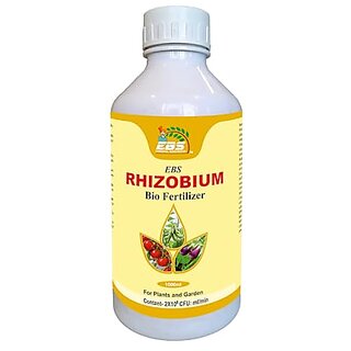 EBS Rhizobium Spp Bio Fertilizer Nitrogen Fixing Bacteria for Plants (5 X 10 8 Cfu/Ml Min) For Home Garden Terrace Garden Nursery Greenhouse And for Agricultural Purposes (1000ml x 10) EBS Rhizobium Spp Bio Fertilizer Nitrogen Fixing Bacteria for Plants (5 X 10 8 Cfu/Ml Min) For Home Garden Terrace Garden Nursery Greenhouse And for Agricultural Purposes (1000ml x 10)