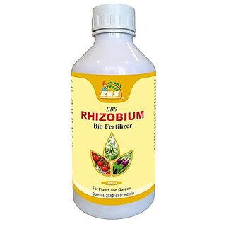 EBS Rhizobium Spp Bio Fertilizer  Nitrogen Fixing Bacteria for Plants  (5 X 10  8 Cfu/Ml Min)  For Home Garden Terrace Garden Nursery Greenhouse And for Agricultural Purposes (1000ml x 5)